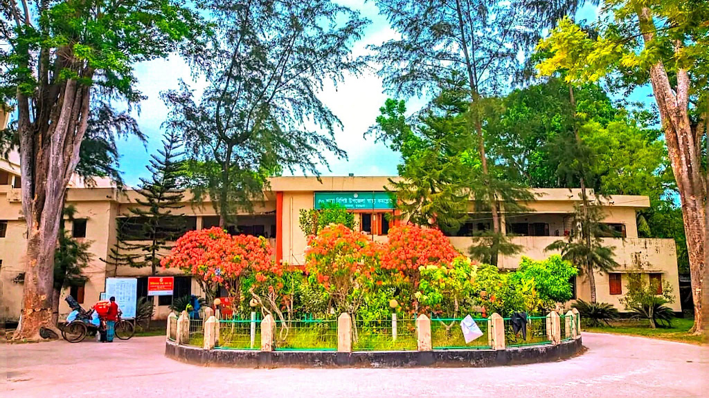 বরগুনায় ডেঙ্গু আক্রান্ত আরও ৬৬ জন, লক্ষণ নিয়ে শিশুর মৃত্যু