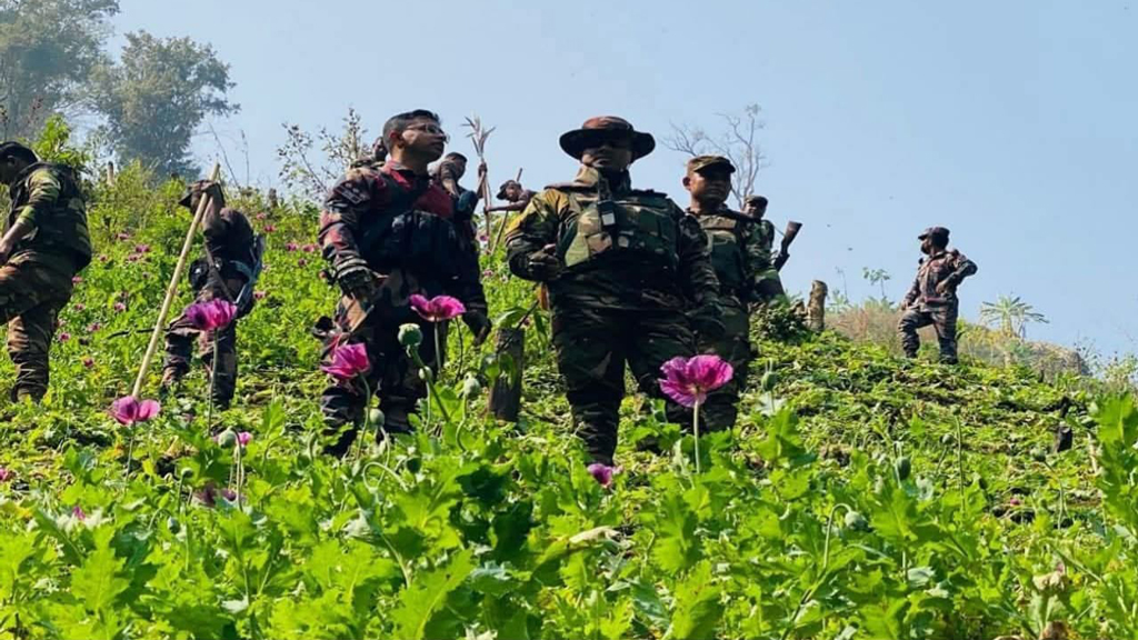 বান্দরবানে গহিন অরণ্যে ৪৩ একর পপিখেত ধ্বংস‎