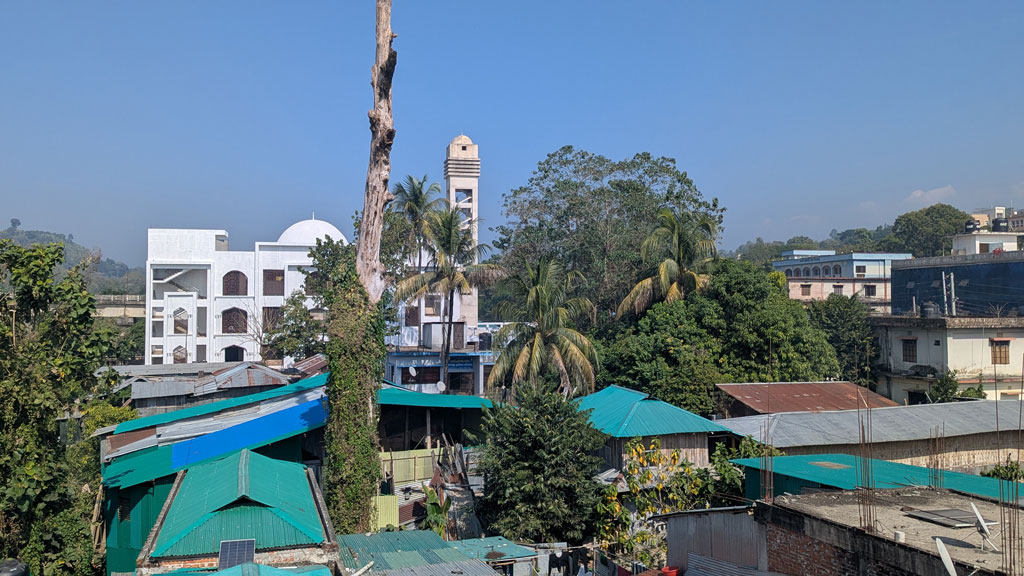 মরা গাছ ভেঙে পড়ার আতঙ্কে থানচি বাজারের বাসিন্দারা