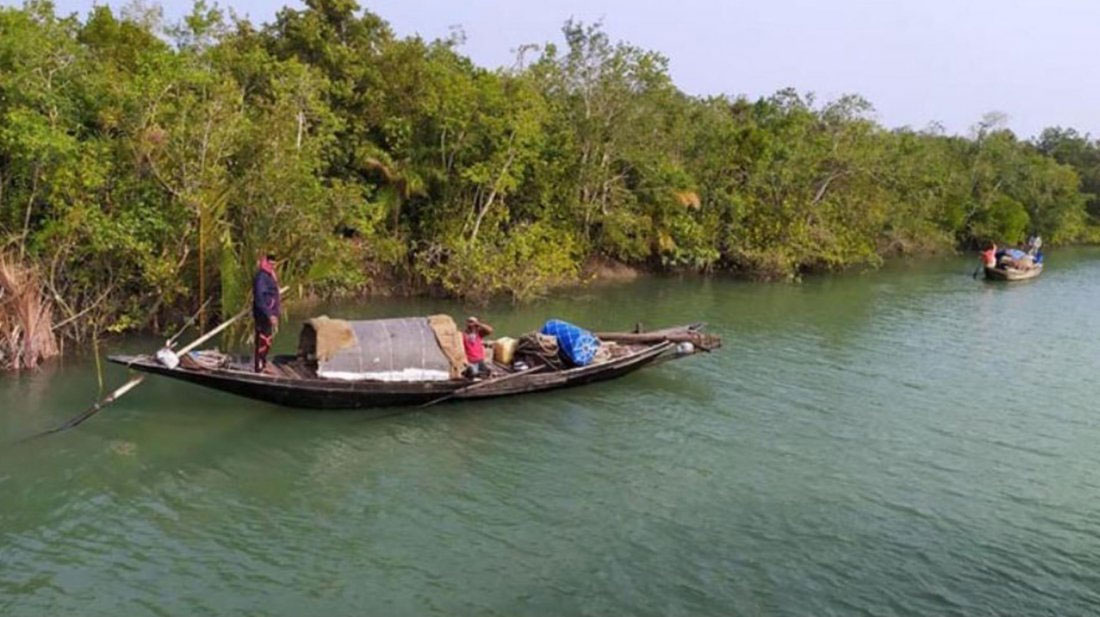 বনজীবী-রক্ষীরা চিকিৎসাবঞ্চিত