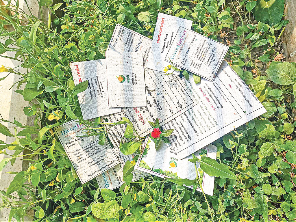 কাগজ, বনকাগজ, বই ও পরিবেশ ভাবনা