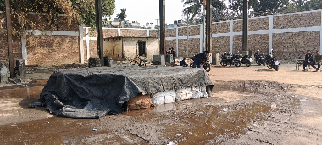 এবার ভারত থেকে ইলিশ এল বাংলাদেশে!