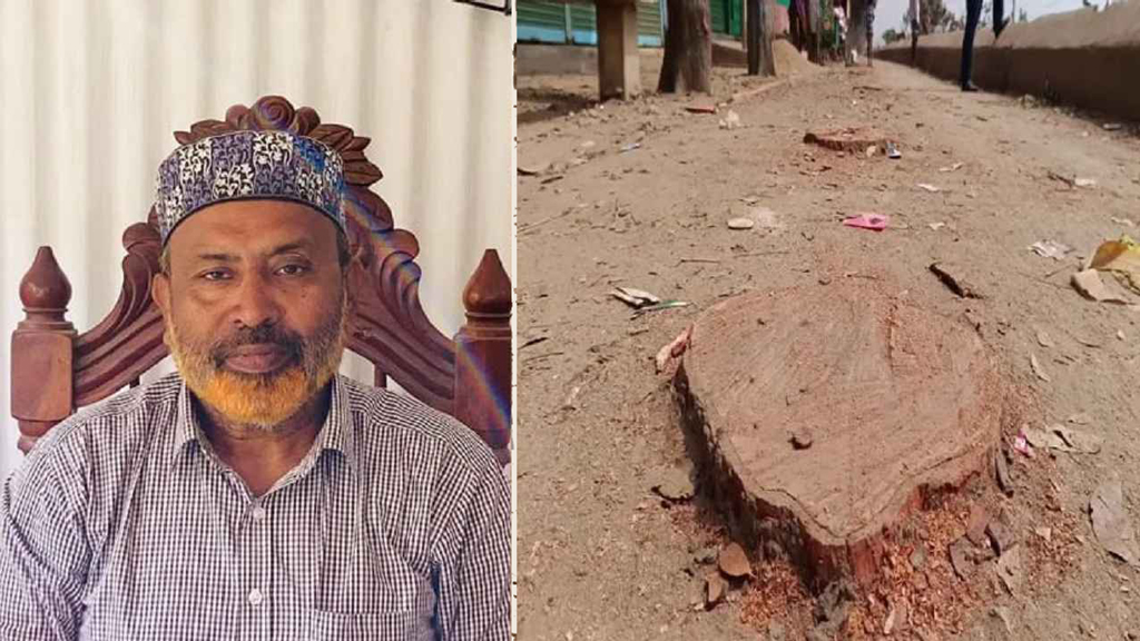 নিজের গাড়ি চলাচলের জন্য রাস্তার গাছ কাটা বিএনপি নেতার সব পদ স্থগিত