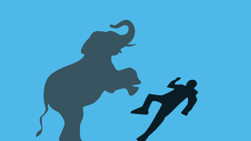 রামুতে বন্য হাতির আক্রমণে মা-মেয়ে নিহত