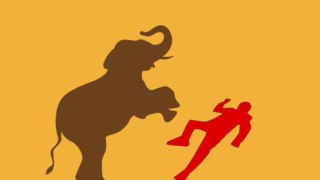 রামুতে বন্য হাতির আক্রমণে মা-মেয়ে নিহত