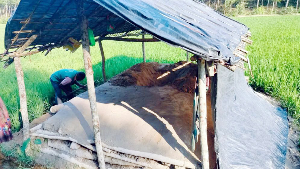 চকরিয়ায় বন্য হাতি হত্যা করে মাটিচাপা, ঝুপড়ি ঘর বানিয়ে আড়ালের চেষ্টা