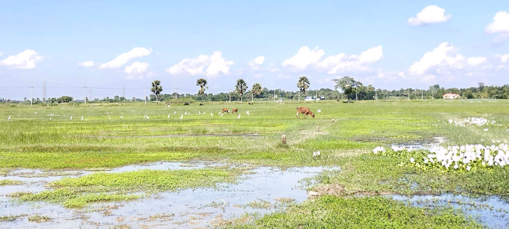 নবান্ন উৎসব নেই ৬০ হাজার কৃষক পরিবারে