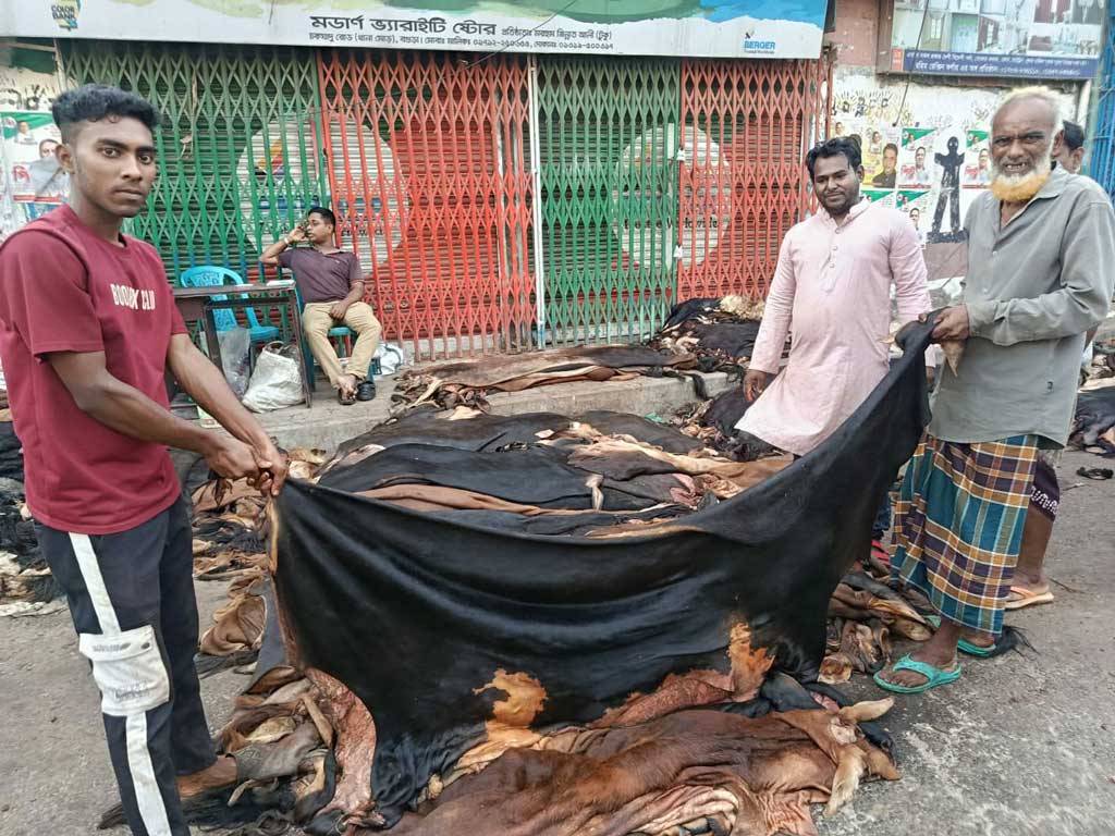 কোরবানির পশুর চামড়া নিয়ে ফের হাহাকার: গরুর ১০০-৬০০ টাকা, ছাগলেরটা কেউ নেয় না