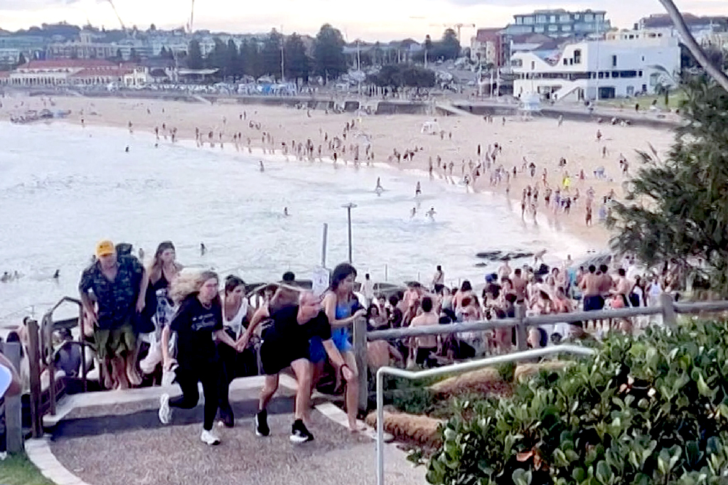 বন্ডি বিচে গুলির শব্দকে শুরুতে আতশবাজি ভেবেছিলেন অনেকে