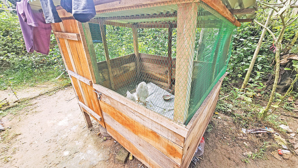 রাঙামাটি-বান্দরবান-খাগড়াছড়ি: প্রাণিসম্পদ উন্নয়ন প্রকল্পে লুটপাট