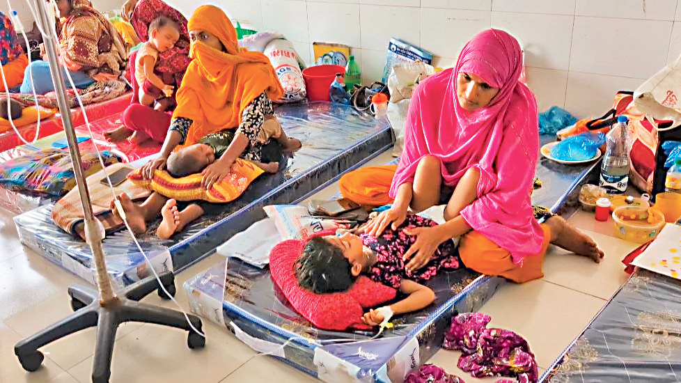 অসচেতনতায় ডেঙ্গুর পর হামেও শীর্ষে বরগুনা