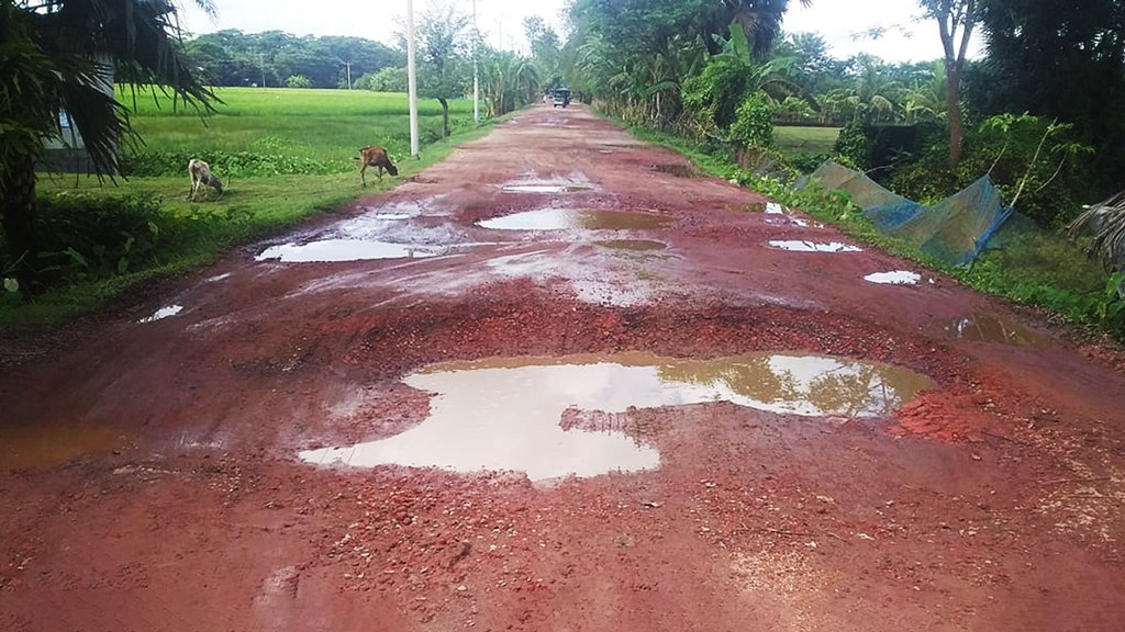 আমতলী-তালতলী আঞ্চলিক সড়কের বেহাল দশা