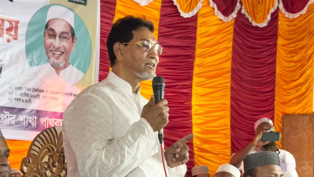 নির্বাচনে বিলম্ব হলে ফাঁক দিয়ে ভারত ঢুকে পড়বে: মনি