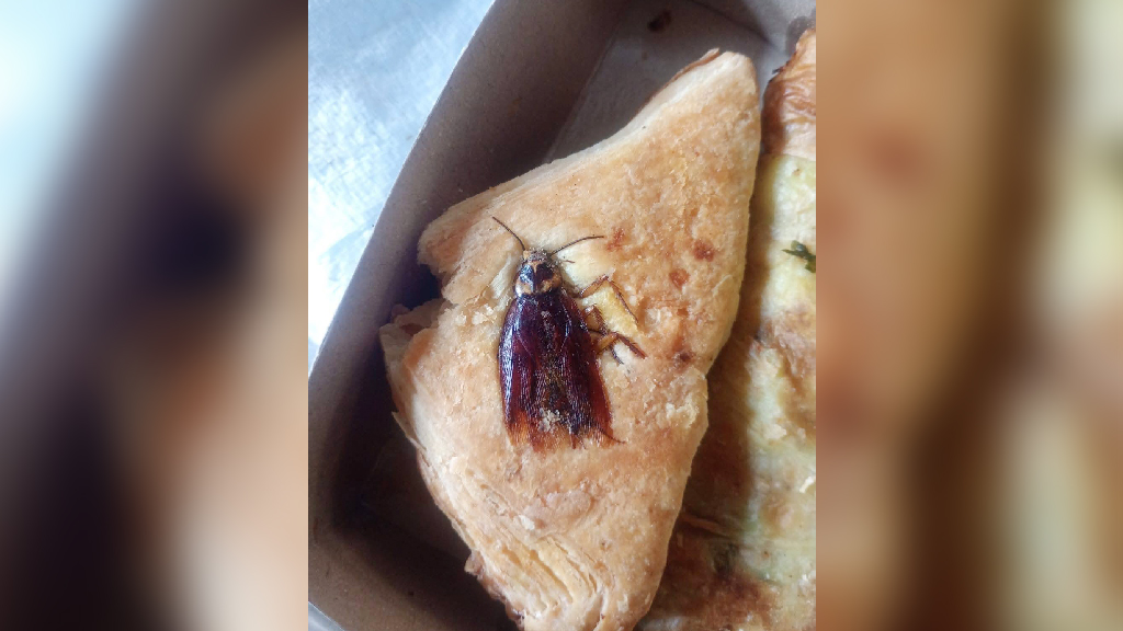 বেকারির প্যাটিসে তেলাপোকা, গুনতে হলো লাখ টাকা জরিমানা