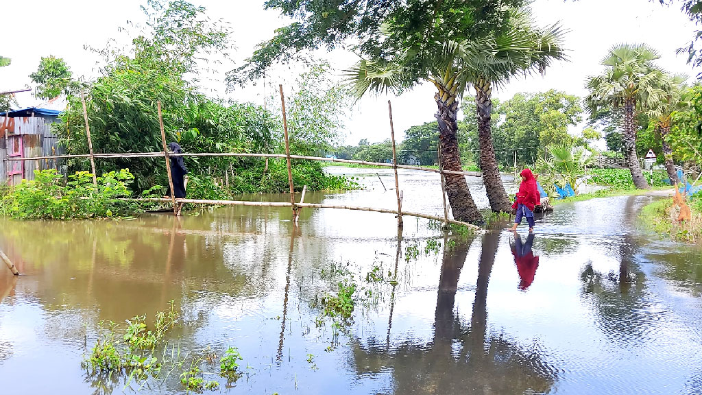 ব্রাহ্মণপাড়ায় পাহাড়ি ঢল ও বৃষ্টিতে বাড়ছে পানি, আতঙ্কে নিম্নাঞ্চলের মানুষ