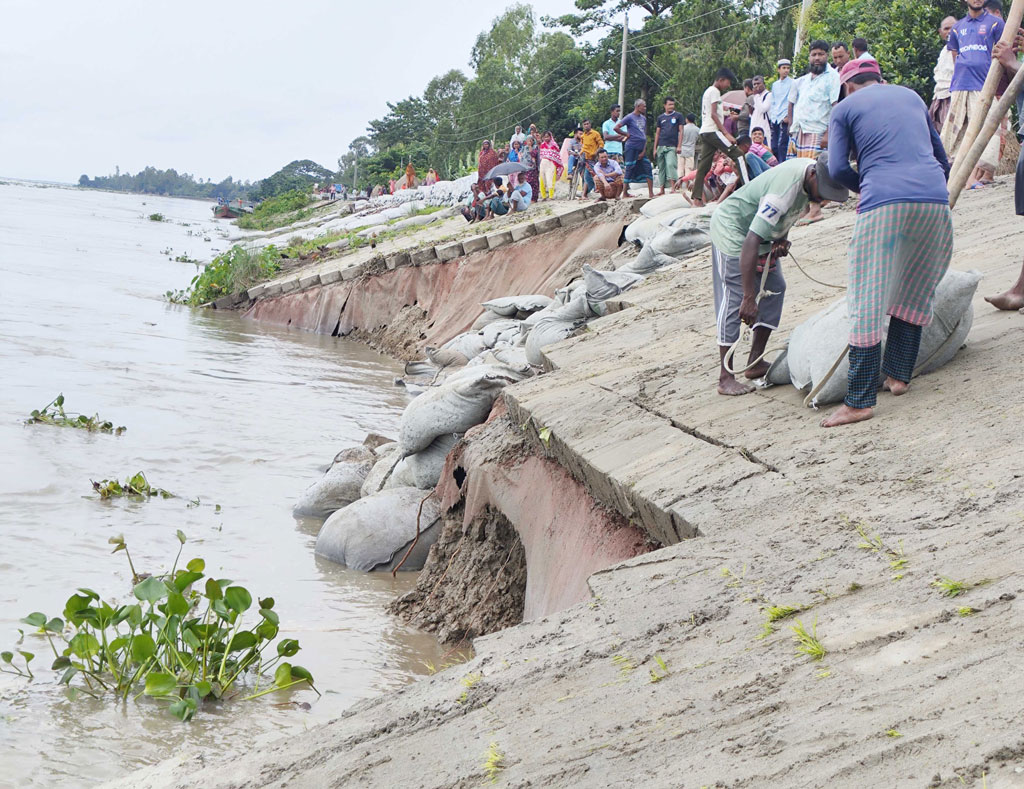 কুড়িগ্রামের চিলমারীতে ব্রহ্মপুত্র তীররক্ষা বাঁধে তৃতীয় দফায় ধস, ঝুঁকিতে অন্তত ৩০০ মিটার