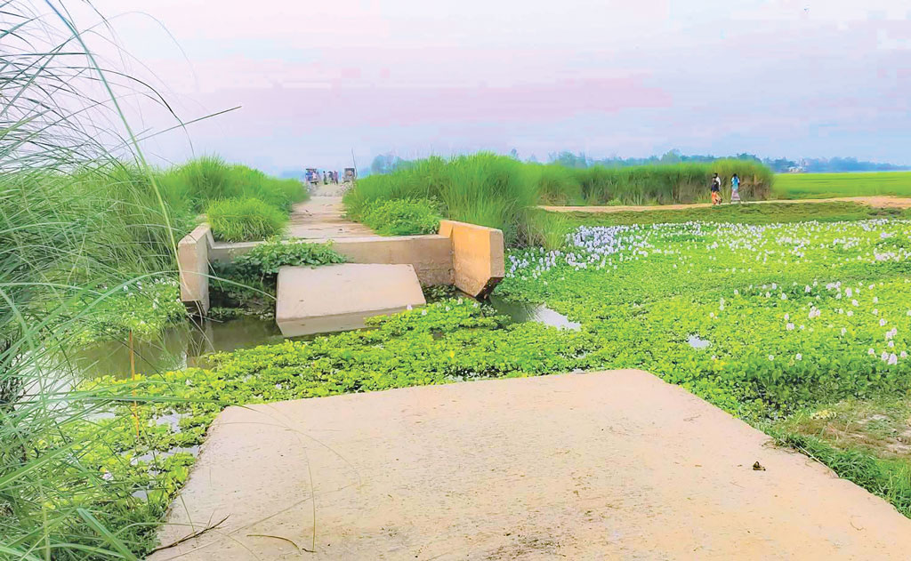 পাবনার ভাঙ্গুড়া: ডুবো সড়ক এখন গলার কাঁটা