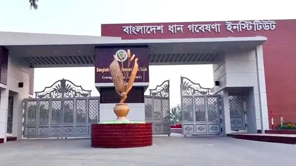 গাজীপুর: ডিজি নিয়োগ ঘিরে উত্তপ্ত ব্রি, মুখোমুখি দুপক্ষ