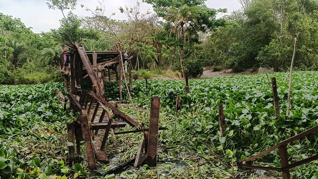তালতলীতে ব্রিজ ভেঙে আহত ২, যোগাযোগবিচ্ছিন্ন ১৫ হাজার মানুষ
