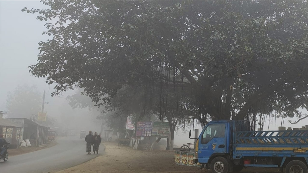 মাঘের শুরুতে শীতে কাঁপছে দিনাজপুরবাসী। জেলার তাপমাত্রা নেমে এসেছে ১০ দশমিক ১ ডিগ্রি সেলসিয়াসে, যা কিনা দেশের সর্বনিম্ন। বিরল উপজেলার তেঘরা এলাকা থেকে আজ মঙ্গলবার সকালে তোলা, দিনাজপুর, ২১ জানুয়ারি ২০২৫। ছবি: আনিসুল হক জুয়েল