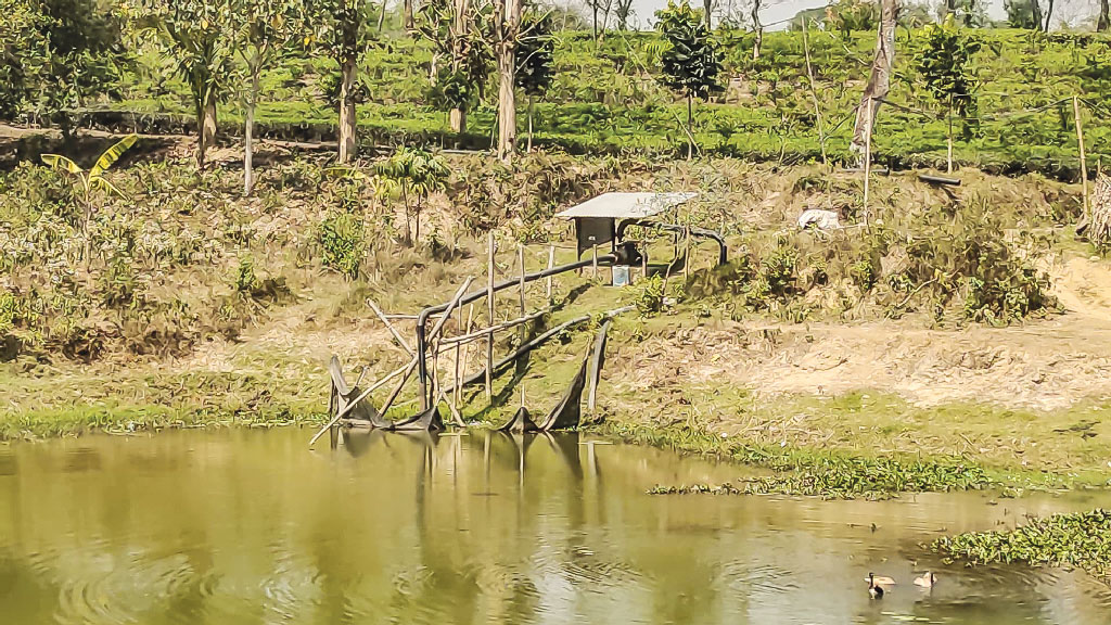 পাম্প বসিয়ে কৃষকের পানি নিয়ে যাচ্ছে হালদা ভ্যালি