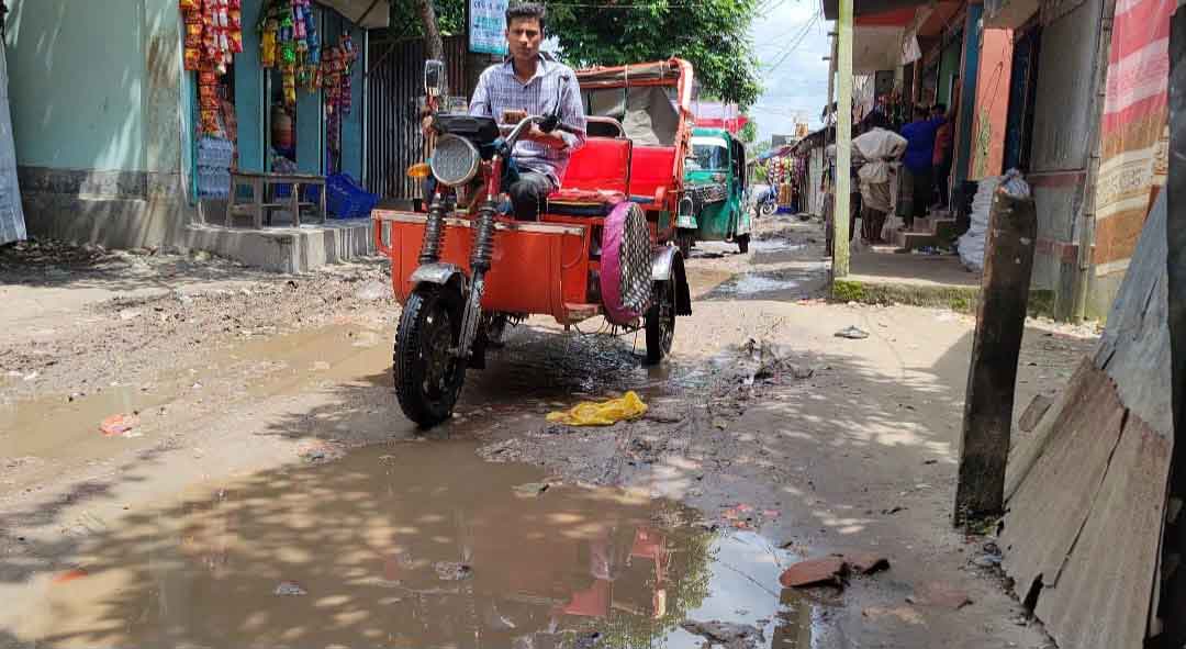 বীরশ্রেষ্ঠ মতিউর নগর সড়কের বেহাল দশা, ভোগান্তি