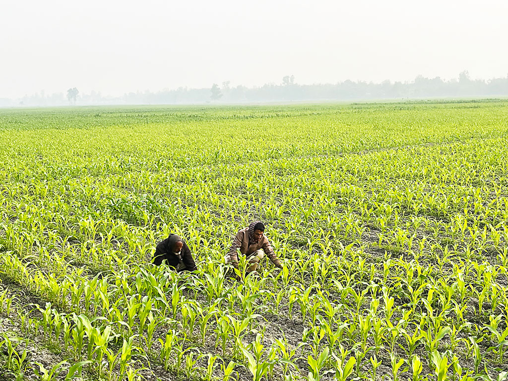 বিলীনপ্রায় নদীতে শতকোটির সেচ প্রকল্প