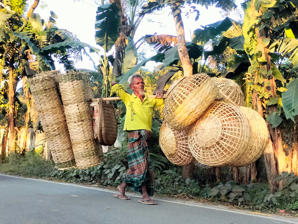 গ্রামাঞ্চলের সরু পথ ধরে বাঁশের তৈরি খাচা কাঁধে নিয়ে বাড়ি বাড়ি বিক্রি করতে বের হয়েছেন এক স্থানীয় কারিগর। হাঁস-মুরগি ও কবুতর পালনে ব্যবহৃত এসব খাঁচা তিনি নিজ হাতে তৈরি করেন। ছবিটি গঙ্গাচড়া উপজেলার সদর ইউনিয়নের কৃষি গবেষণা কেন্দ্র এলাকা থেকে তোলা। ছবি: আব্দুর রহিম পায়েল।