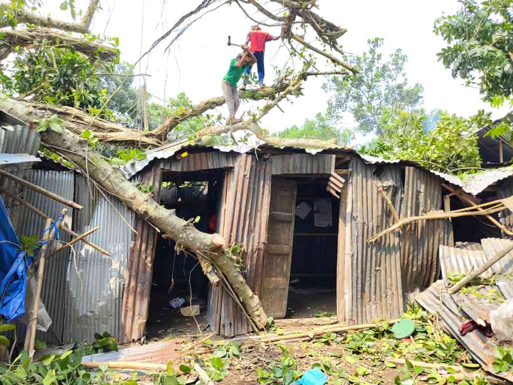 কাটার আগেই গভীর রাতে উপড়ে পড়ল বটগাছ, বিদ্যুৎহীন ১৫০ পরিবার