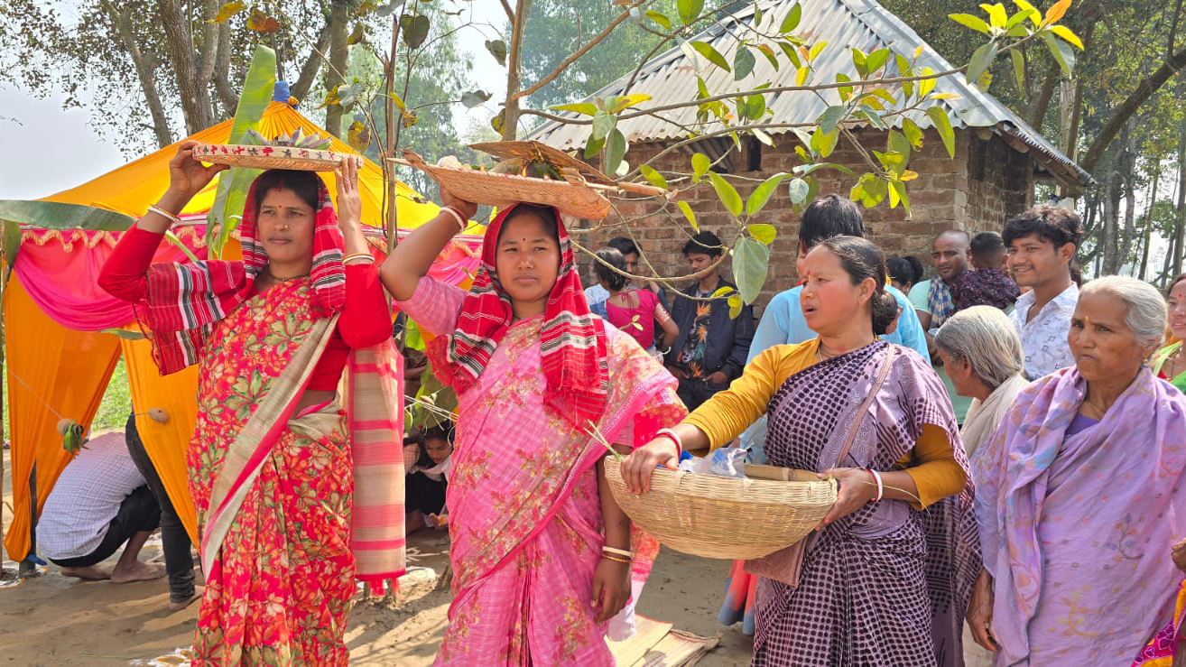 ঠাকুরগাঁওয়ে বট-পাকুড়ের বিয়ের উৎসব