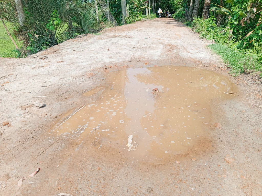 বাউফল উপজেলার অভ্যন্তরীণ ৫২৬ কিলোমিটার সড়ক বেহাল। গর্তে ভরা সড়কে বাড়ছে জনগণের ভোগান্তি। ছবি: আজকের পত্রিকা
