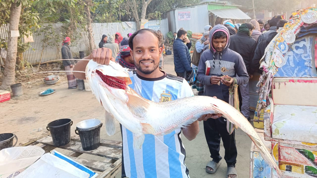 পদ্মায় বড়শিতে আটক ৯ কেজির বোয়াল, ‘কম দামে’ বিক্রি