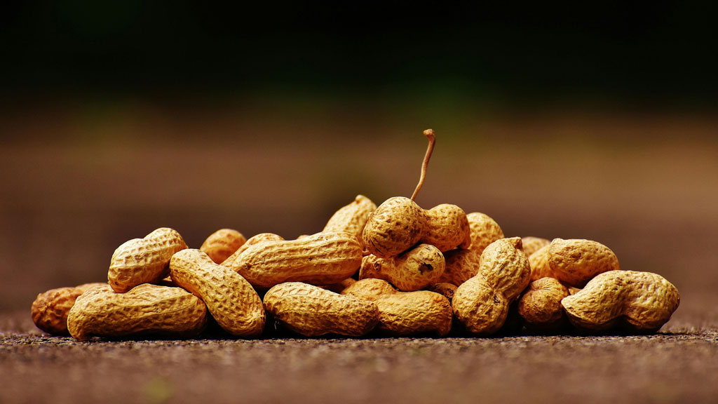 চীনাবাদাম কেন খাবেন