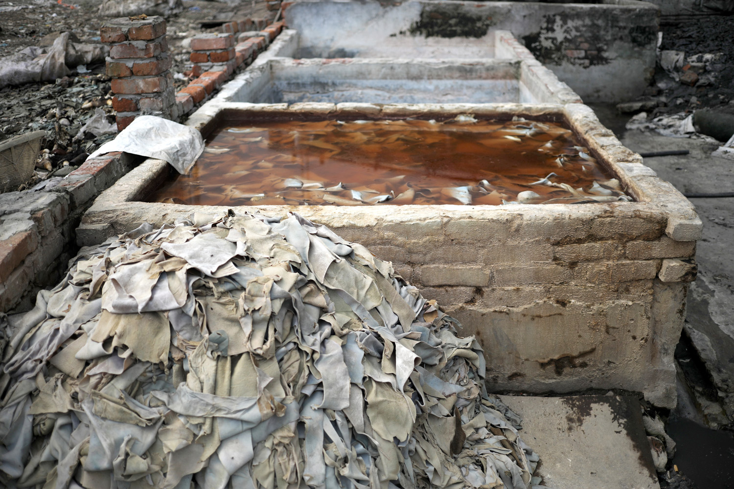 চামড়া প্রক্রিয়াজাতকরণের জন্য কেমিক্যাল দিয়ে ভিজিয়ে রাখা হয়েছে।