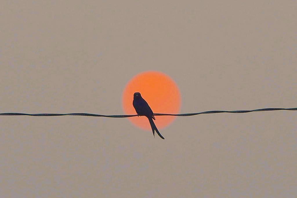 দিনের ছবি (২৪ জানুয়ারি, ২০২৩)