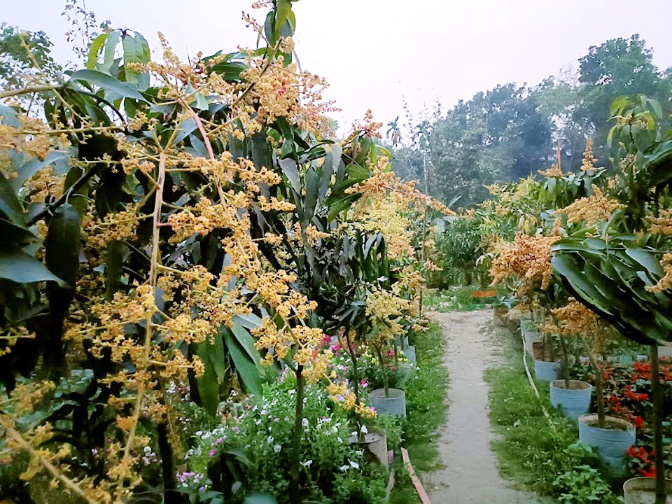 দিনের ছবি (২৬ ফেব্রুয়ারি, ২০২৩)