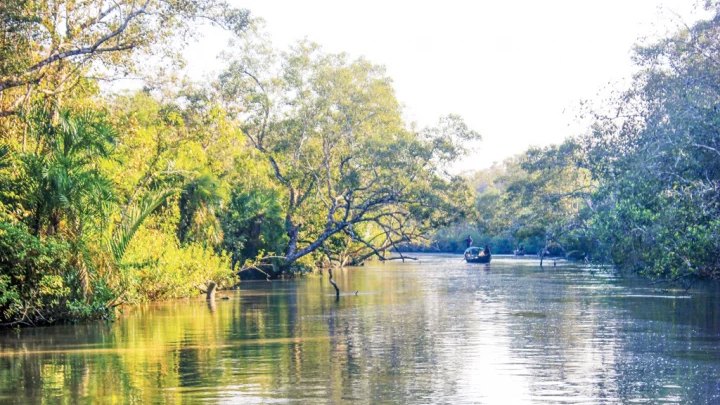 সুন্দরবনে কাঁকড়া ধরায় দুই মাসের নিষেধাজ্ঞা 