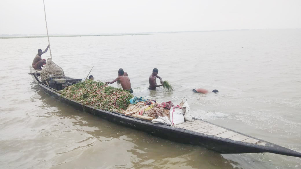 ‘কি খায়া বাঁচমু, হামার বোরা ধানও ডুবি গেছে’