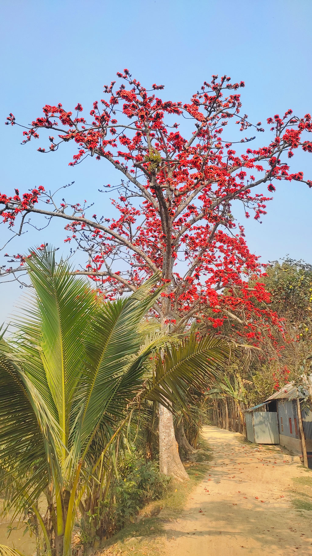 দিনের ছবি (২৪ ফেব্রুয়ারি, ২০২৩)