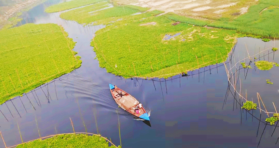 গতকাল ছিল বিশ্ব পানি দিবস। কিন্তু পানি সংকটে আছে মানিকগঞ্জের বিভিন্ন নদ-নদী। পানিশূন্য হয়ে নদীর বুকজুড়ে পড়েছে বিশাল বালুচর, কোথাও হয়েছে চাষাবাদ, কোথাও নদী দখল নিয়েছে কচুরিপানা। ঘিওর উপজেলার সিংজুরী এলাকার কালীগঙ্গা নদী, মানিকগঞ্জ, ২৩ মার্চ ২০২৪। ছবি: আব্দুর রাজ্জাক