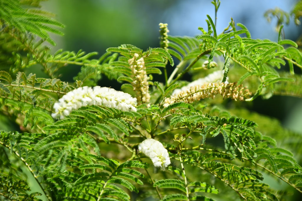 দিনের ছবি (৭ সেপ্টেম্বর, ২০২৪)