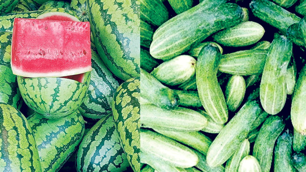 গরমে খাদ্যতালিকা রাখুন নিজের নিয়ন্ত্রণে