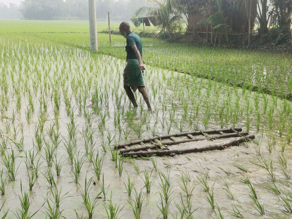 দিনের ছবি (১০ ফেব্রুয়ারি, ২০২৩)