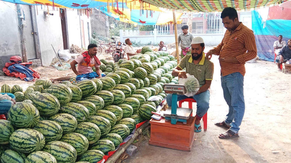 সুস্বাদু ও রসাল ফল তরমুজ। ইফতারিতে এই ফলের বিশেষ চাহিদা রয়েছে। বাজারে দামও এখন বেশ চড়া। প্রতিকেজি তরমুজ বিক্রি হচ্ছে ৭০ টাকায়। পৌরশহরের শরৎনগর বাজার এলাকা, ভাঙ্গুড়া, পাবনা, ১৫ মার্চ ২০২৪। ছবি: মো. মনিরুজ্জামান ফারুক