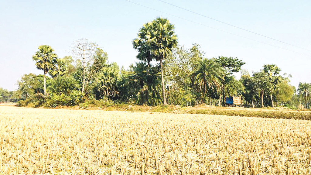 আলো-আঁধারির গাঁ