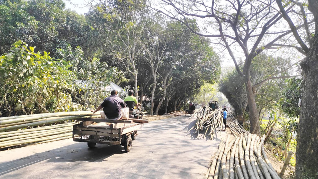 টেবুনিয়া-বাঘাবাড়ী আঞ্চলিক মহাসড়কের ভেড়ামারা সড়কের ওপর দীর্ঘদিন ধরে বসছে বাঁশের হাট। প্রতি সপ্তাহের রোববার ও বৃহস্পতিবার এখানে বসে হাট। সড়কের ওপর বাঁশের হাট বসার ফলে প্রতিদিন ঝুঁকি নিয়ে চলাচল করছে শত শত যানবাহন। ভাঙ্গুড়া, পাবনা, ৩ মার্চ ২০২৪। ছবি: মো. মনিরুজ্জামান ফারুক