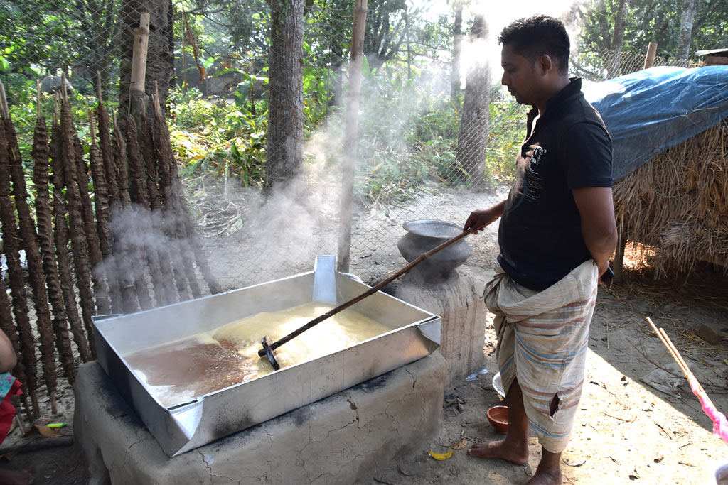 গাছিরা সকালে রসের হাঁড়ি নামানো পর ওই রস দিয়ে গুড় তৈরি করা হচ্ছে। পুঠিয়া উপজেলার বেলপুকুর ইউনিয়ন স্বরুপ নগর গ্রাম, রাজশাহী, ২২ নভেম্বর ২০২৩। ছবি: মিলন শেখ