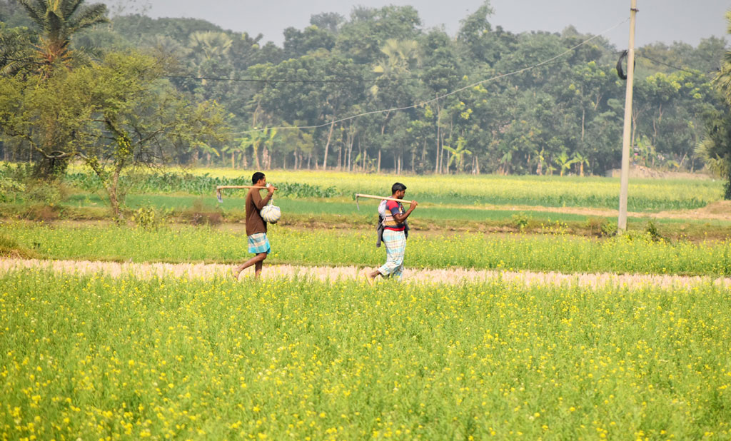 দিনের ছবি (২৬ ডিসেম্বর, ২০২৩)
