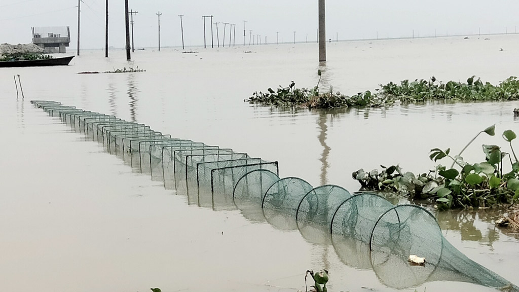 হাওরে নিষিদ্ধ জালে অবাধে মৎস্য নিধন