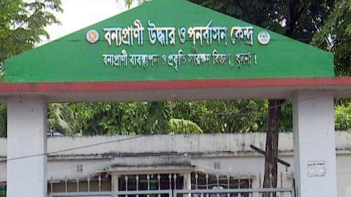নিজস্ব চিকিৎসক নেই  বন্য প্রাণী কেন্দ্রে